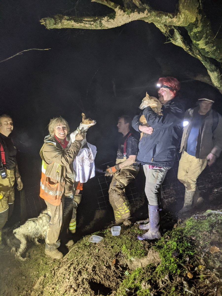 Cornwall Search Dogs (@dogssearch) on Twitter photo 16/12 - 2 dogs missing on 14/12 SD's Holly and Lexi found the warren they were stuck in and dug out with help from <a href="/BodminCFRS/">Bodmin Community Fire Station</a> Dogs OK!
SD Maisy was working in Wadebridge. Her trail matched sightings. Working with <a href="/DogLostCornwall/">DogLost Cornwall</a> we are on standby and hope Millie is home soon. 16/12 - 2 dogs missing on 14/12 SD's Holly and Lexi found the warren they were stuck in and dug out with help from <a href="/BodminCFRS/">Bodmin Community Fire Station</a> Dogs OK!
SD Maisy was working in Wadebridge. Her trail matched sightings. Working with <a href="/DogLostCornwall/">DogLost Cornwall</a> we are on standby and hope Millie is home soon.