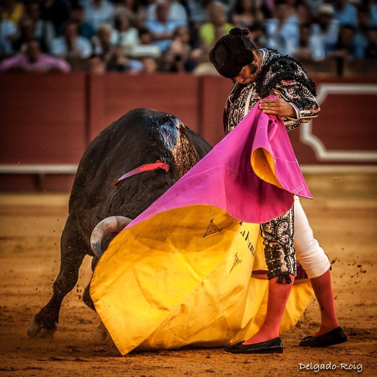 Pureza (@purezatoros) on Twitter photo Dicen que la verónica es el lance de los elegidos. Será verdad...
Foto: <a href="/adelgadoroig/">Antonio Delgado-Roig</a>. Dicen que la verónica es el lance de los elegidos. Será verdad...
Foto: <a href="/adelgadoroig/">Antonio Delgado-Roig</a>.