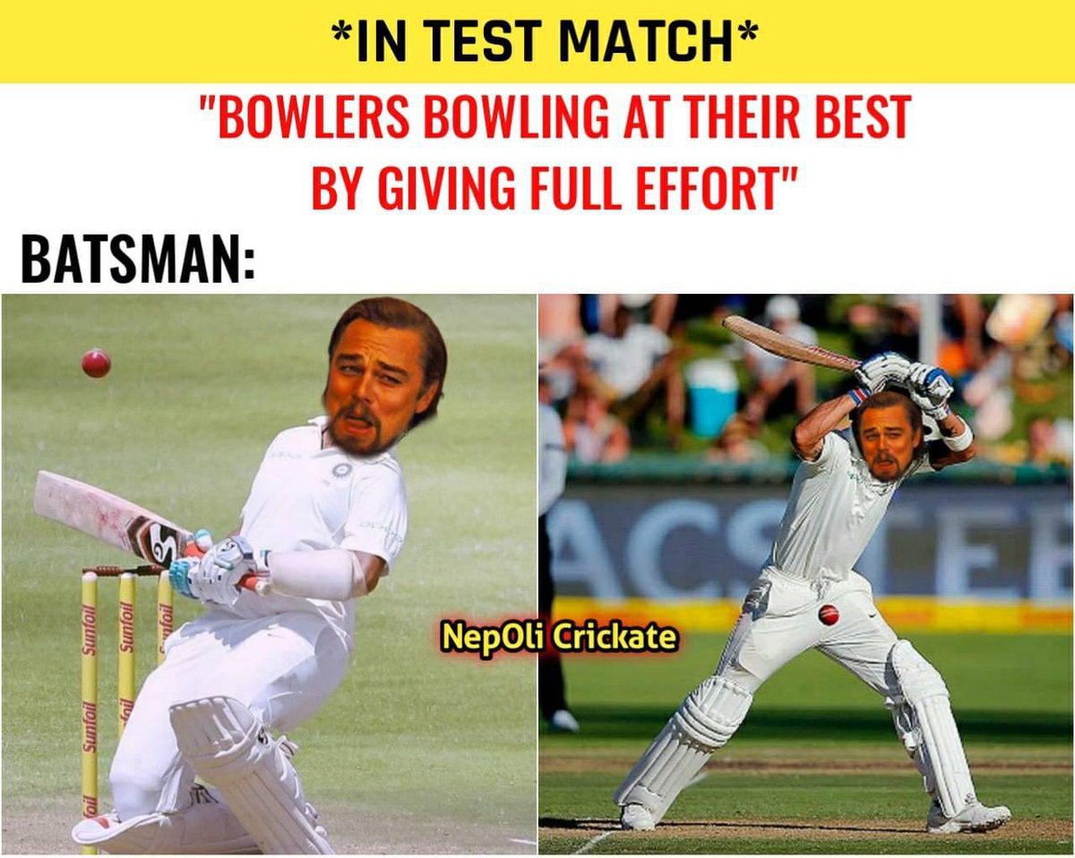 cricket meme