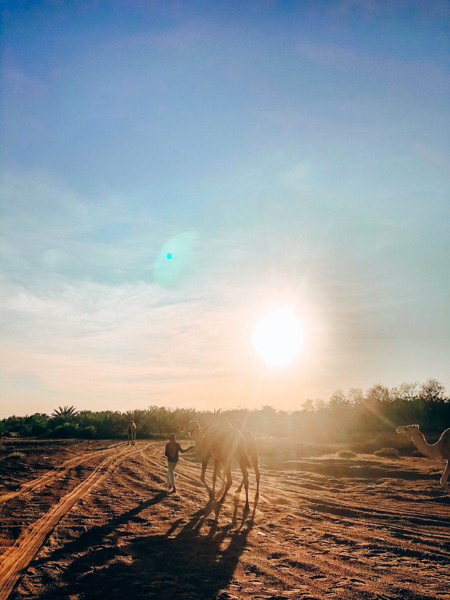 its.noyer tweet media