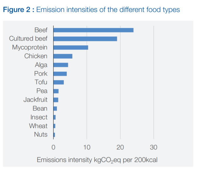 wef's tweet photo. Maggots on the menu: the pet foods using insect protein to help the planet https://t.co/x6ddq5hPs2 #food #sustainability https://t.co/sKQhJn97DV