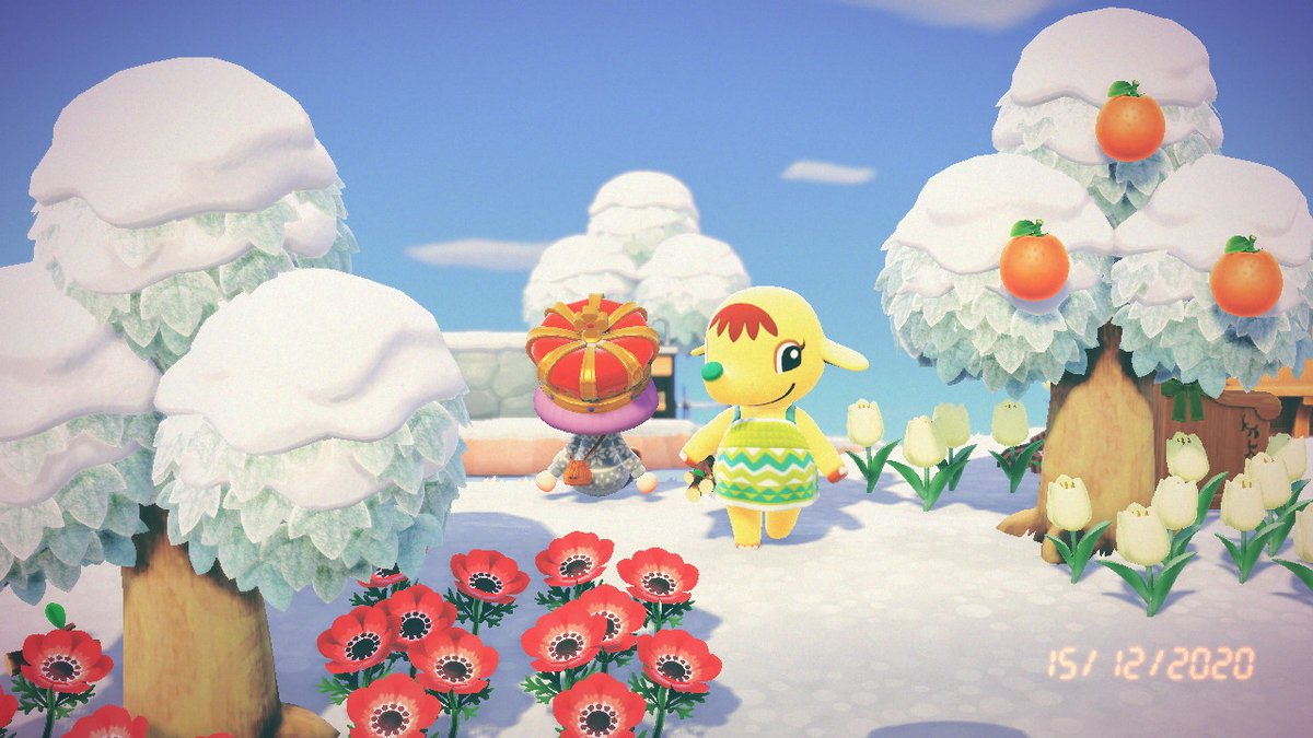 maxielel_'s tweet photo. #AnimalCrossing #ACNH #NintendoSwitch https://t.co/4GSxv7q6OB