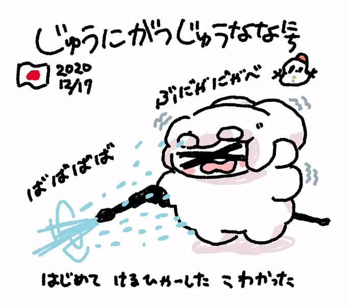 ファンファン #おもちにっき #がんばろうおもち 
