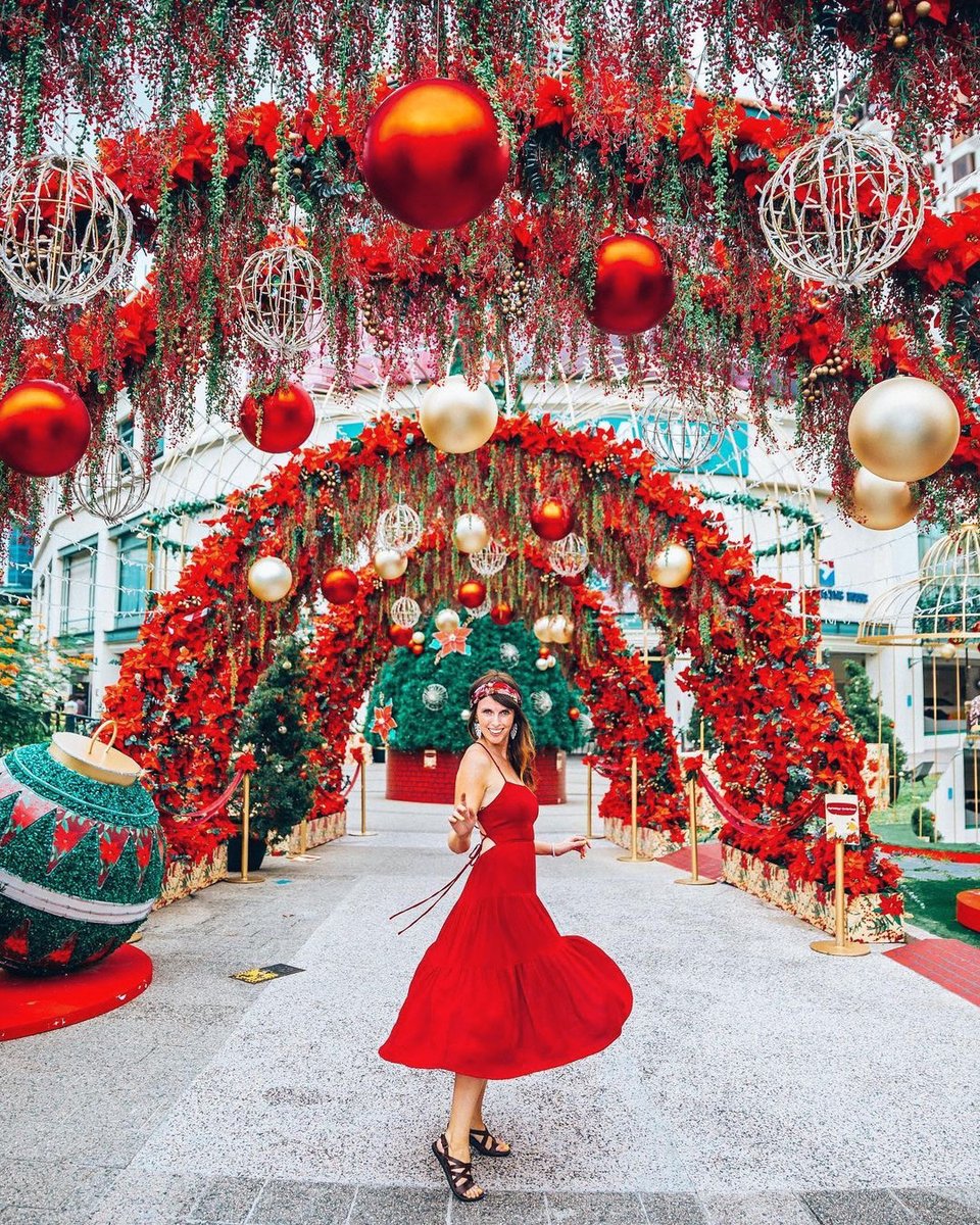 FSSingapore's tweet photo. From the dazzling light-ups along Orchard Road to a slice of European holiday cheer at Flower Dome’s Poinsettia Wishes floral display, Christmas is a wonderful time to make memories. #FSChat us anytime for places to visit this festive season, available via #FourSeasons App! https://t.co/Q0K0JGW5p6