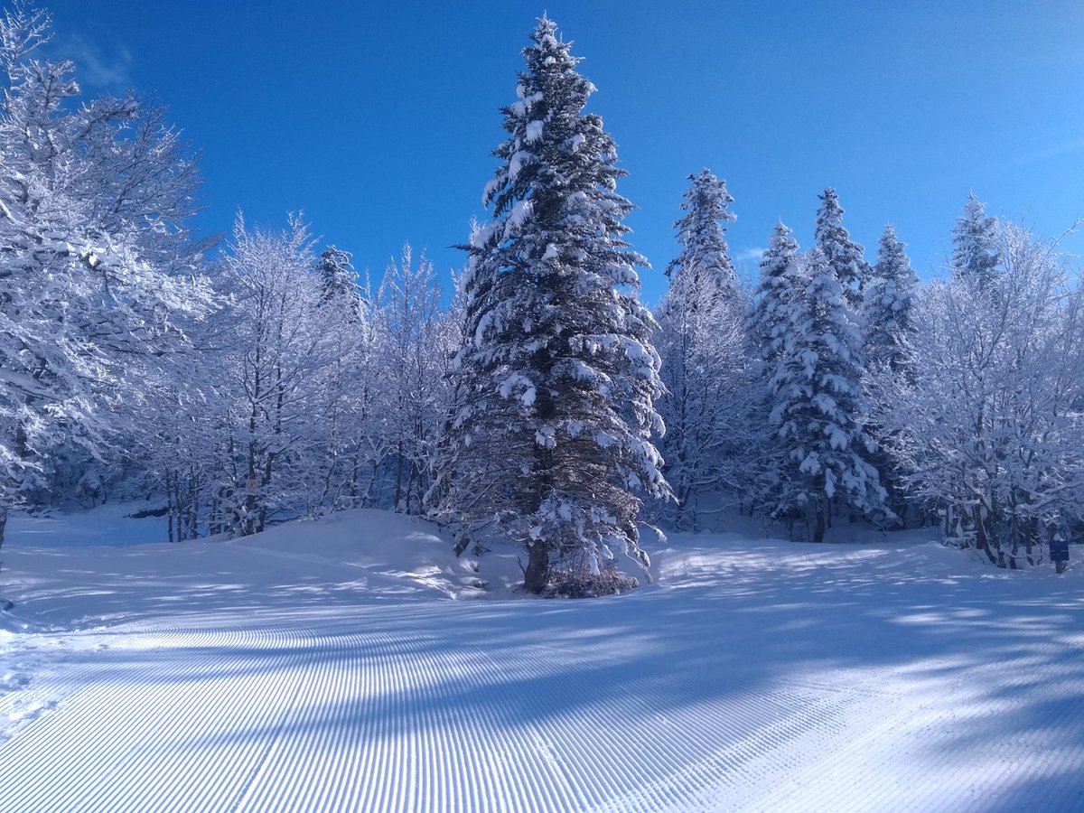 Ouverture de l'espace nordique, samedi 19 décembre 2020 à 9h. Plusieurs activités sont proposées, comme: raquettes, skis de fond, fatbikes, luges, chiens de traineaux, carabines laser ... #lapierresaintmartin #NPY #sudouest #pyreneesbearnaises