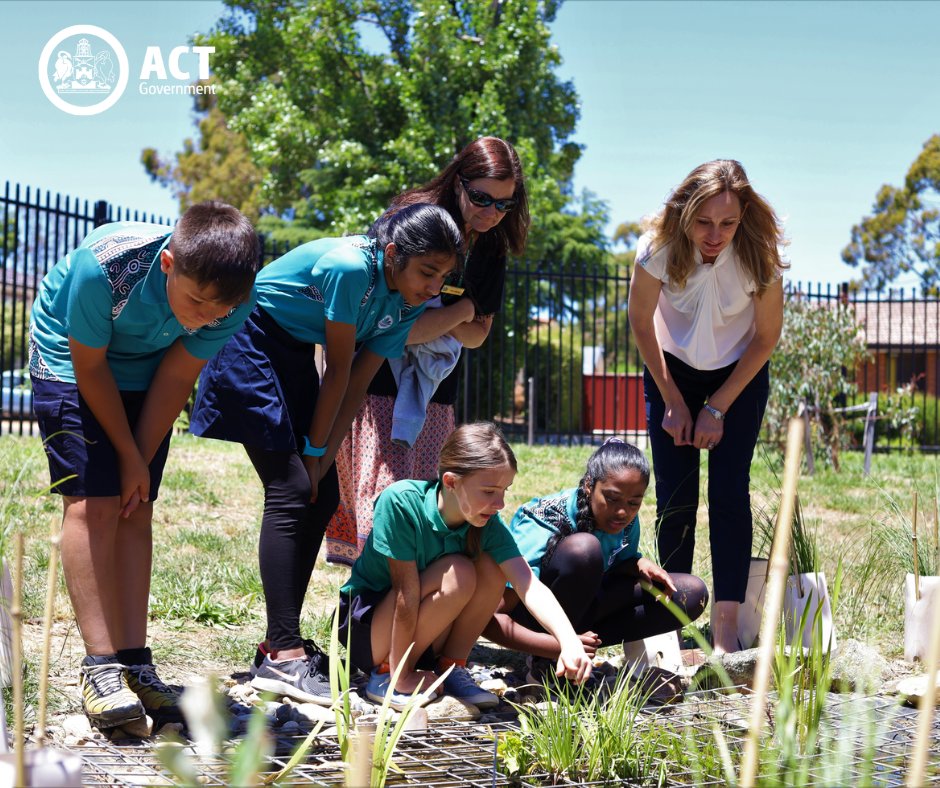 ACTEducation's tweet image. The Green Team at Kaleen Primary School are committed to making a difference to the environment. With the guidance of their Sustainability Teachers, they have recently finished work on an exciting new project – their very own frog pond 🐸🐸

Read more: ow.ly/b3a950CNOFB