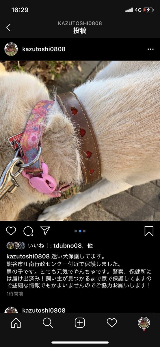kazutoshi9191's tweet photo. 迷子犬保護してます。
熊谷市江南行政センター付近で保護しました。飼い主の元に返してあげたいのでご協力お願い致します。
#拡散お願いします
#迷い犬
#迷子犬
#保護犬 https://t.co/rOrQEEuJMb