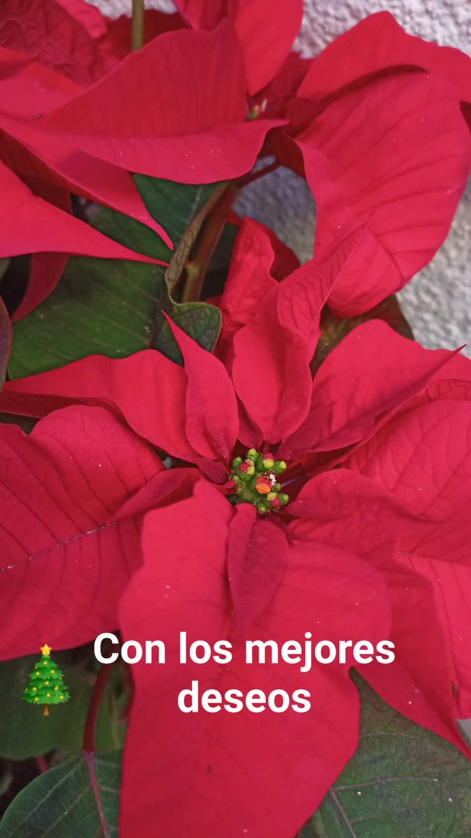 Con ilusión y esperanza en el camino a recorrer