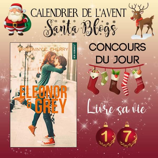 TheLovelyTeach's tweet photo. #SantaBlogs À gagner aujourd'hui chez la page Facebook de @Livre_sa_vie https://t.co/AiyCnvocO1