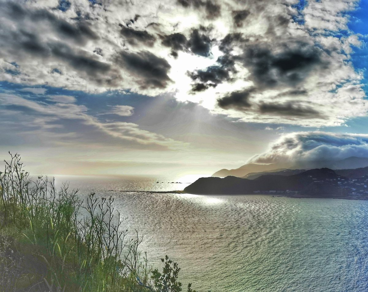 WildBayNZ's tweet photo. Last of tonights sunset photo's from Moa Point looking out along the South Coast and the Cook Strait which is showing a hint of green.#MoaPoint #Evening #Sunset #SouthCoast #CookStrait https://t.co/AQPnI8wOxF
