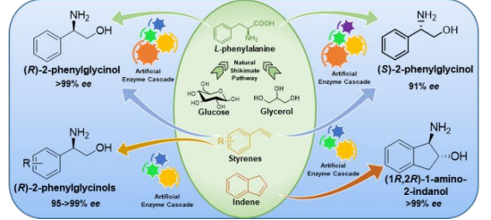 AdvSynthCatal's tweet photo. Accepted #VIP paper by Zhi Li and co-authors @NUSingapore : #Bioproduction of Enantiopure (R)‐ and (S<)‐2‐#Phenylglycinols from #Styrenes and #Renewable Feedstocks https://t.co/NgOZjBqtja https://t.co/uVgXLHqENd