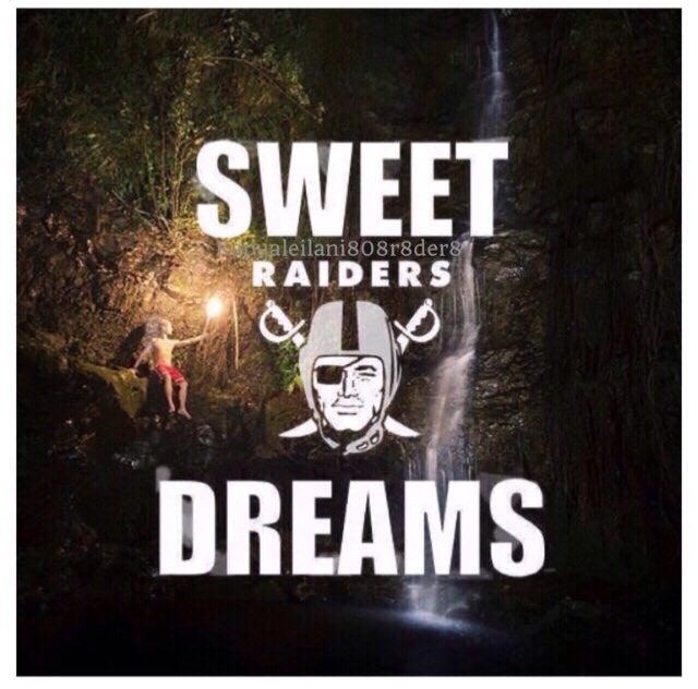 808_R8der8's tweet photo. Nighnigh #SweetDreans💤 #Raiders☠️ #RaiderNation #Raideredits🖤 #MyCreations🔥 https://t.co/n2ILPitOWs