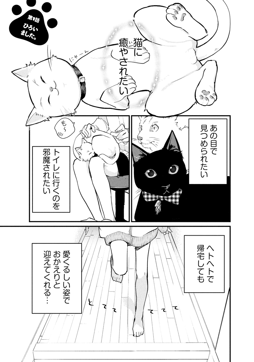 疲れたOLが子猫♂を飼う話 (1/7) 