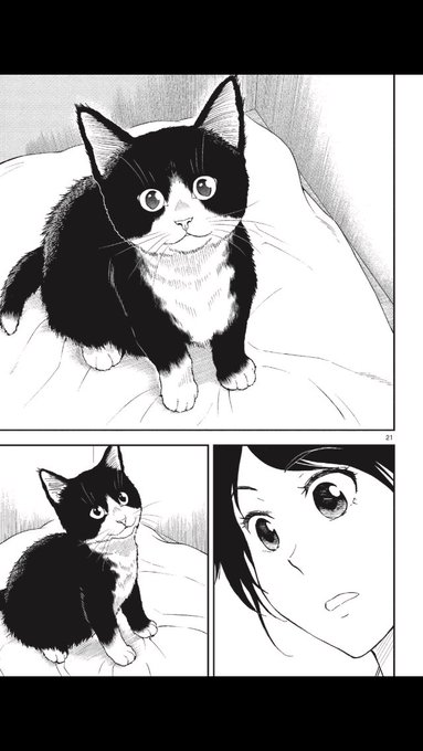 灘谷航 猫暮らしのゲーマーさん 巻5 18日発売 Nadatani さんのマンガ一覧 いいね順 6ページ ツイコミ 仮 灘谷航 猫暮らしのゲーマーさん 巻5 18日発売 Nadatani さんのマンガ一覧 いいね順 6ページ ツイコミ 仮
