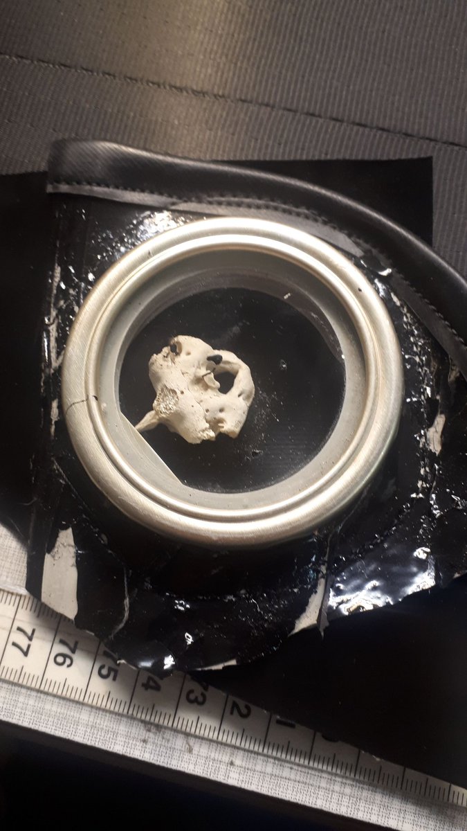 Mowi69 (@_mowi69_) on Twitter photo 