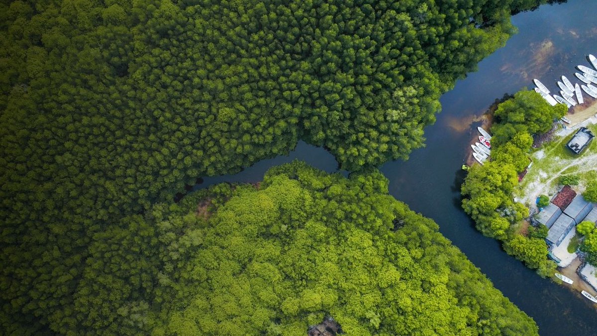 LestariCapital's tweet photo. Protecting #ASEAN forest ecosystems could generate a return on investment of up to US$27.5 billion annually, a new report on #NaturalClimateSolutions shows. 

Read more - https://t.co/TRUV9qKZ6u

#GreenInvesting #environmentalsustainability https://t.co/zcTV7JiOr9