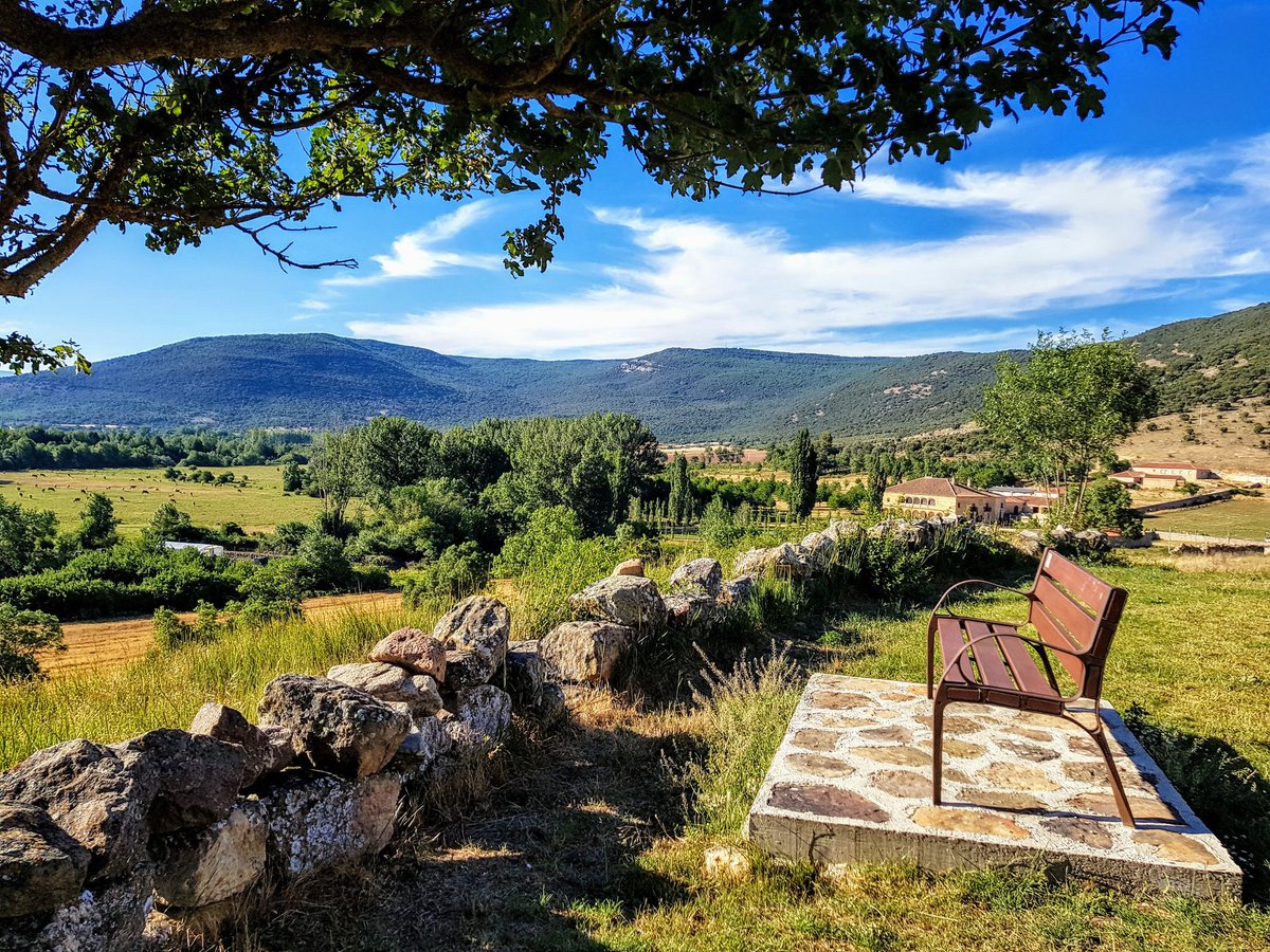 Rocio RM tweet media