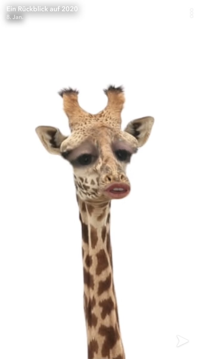 Vanessa Kress tweet media