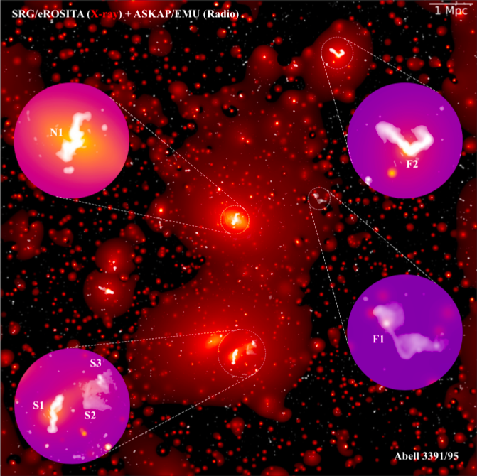 what happens when galaxy clusters are en route to collide? check out Abell 3391/95 and the new papers out today!

X-ray eROSITA (Reiprich et al. arxiv.org/abs/2012.08491) 

&amp; 

radio EMU ASKAP (Brüggen et al. arxiv.org/abs/2012.08775) 

@ThomasReiprich <a href="/eROSITA_SRG/">eROSITA</a> <a href="/HambObs/">@HambObs@mastodon.social</a>