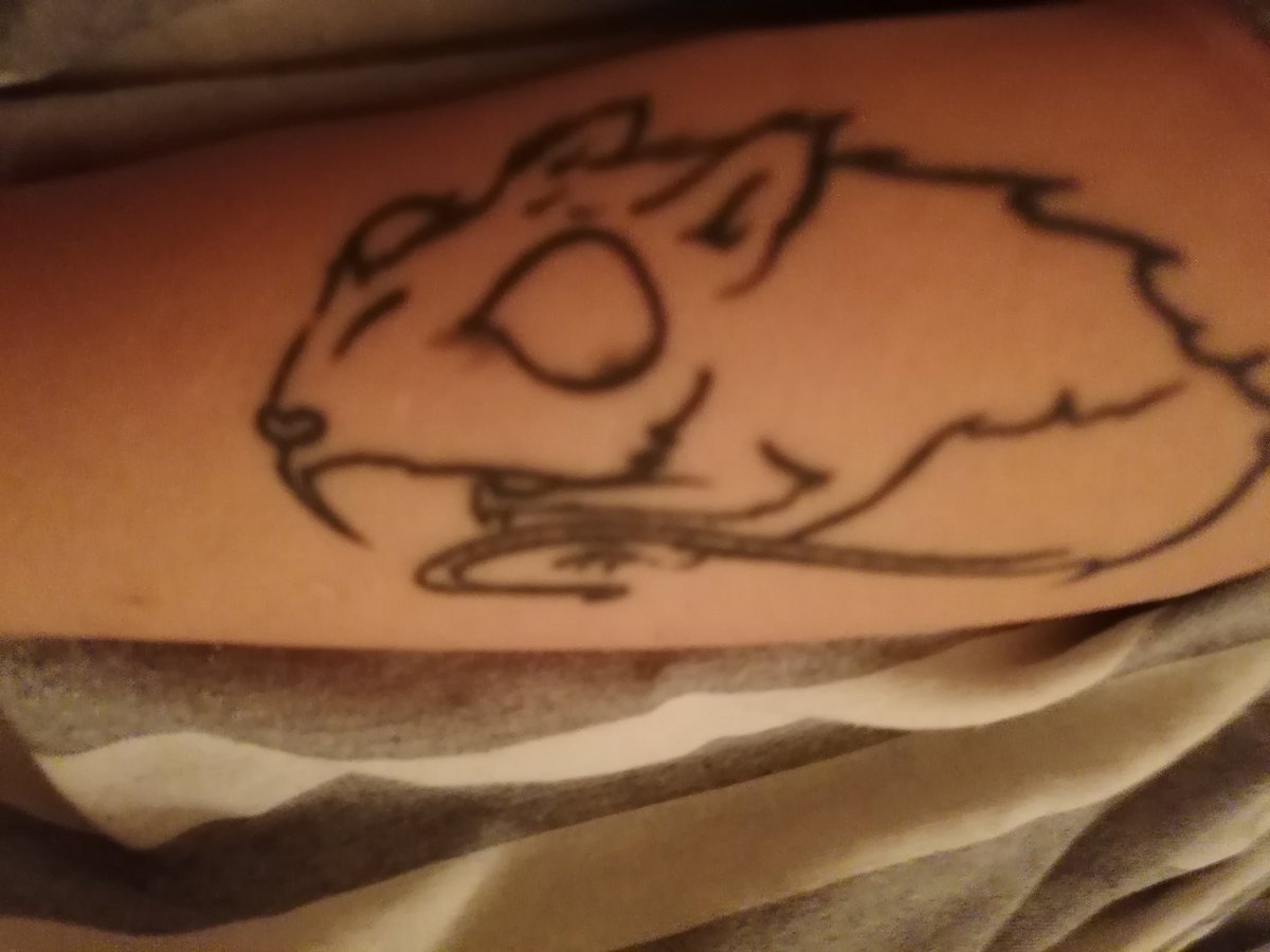 chiiscake's tweet image. Some of my rat tats.