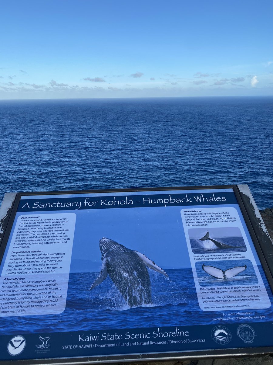 Amber Bernard tweet media