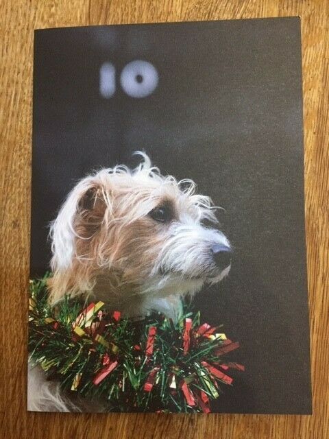 gtabukofficial's tweet photo. Love him or loathe him, a signed Christmas Card from #BorisJohnson in crazy 2020 is bound to become a collectors item! We're auctioning it to raise money for #GiveThemABreak. Who would you send this to? What would you write? Check it out here &amp; do share! https://t.co/N4VFr9I4Xt https://t.co/MF8uZnx65u
