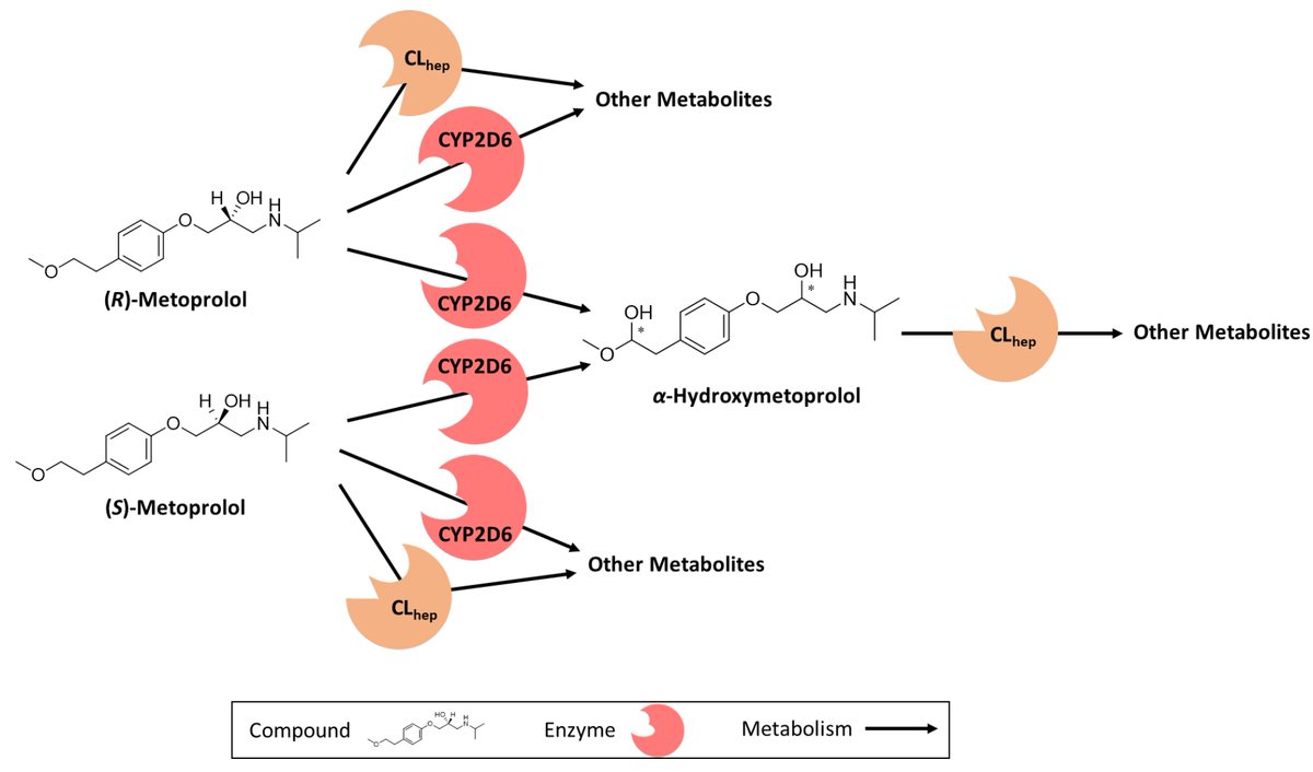 MDPIpharma's tweet photo. #mdpipharmaceutics Simeon Rüdesheim and his colleagues are exciting to share their new Metoprolol #PBPK model for precision dosing! Soon available @ https://t.co/J1TnC3plpJ #PKSim
Read more:
https://t.co/I82WqAXFy2 https://t.co/A27jrGzR06