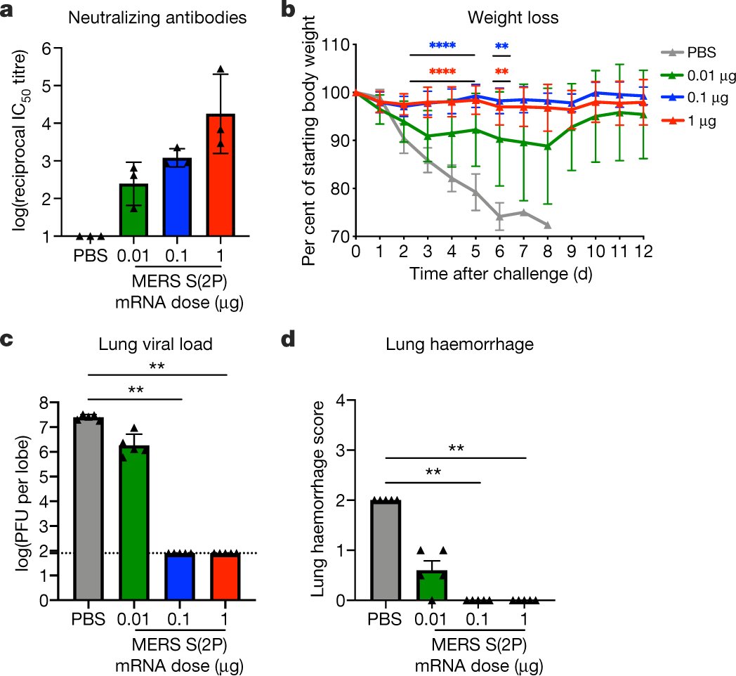 Because clinical quality mRNA can be manufactured quickly enough to beat a pandemic (case in point: the two leading candidates). &, we’d worked with Moderna for years to understand how to make a good MERS vaccine & tested it extensively pre-clinically.  https://www.nature.com/articles/s41586-020-2622-0  https://twitter.com/ethanjvaughan/status/1339444937272643585