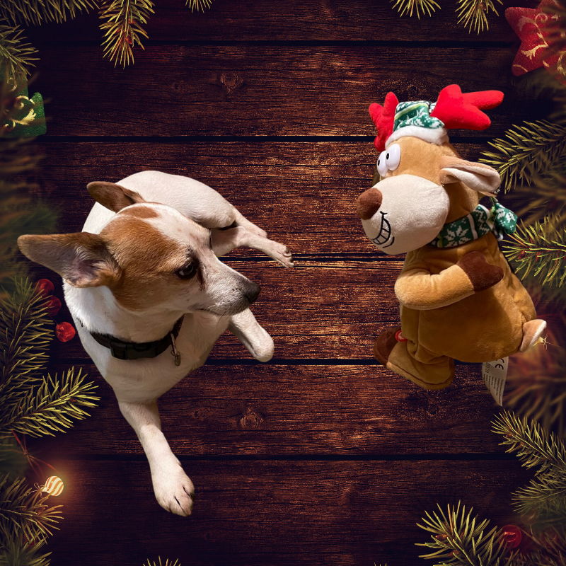 SpiralUKStairs's tweet photo. The Christmas Caption Competition - https://t.co/Cu0LpL7rHG https://t.co/tfM98kunMP