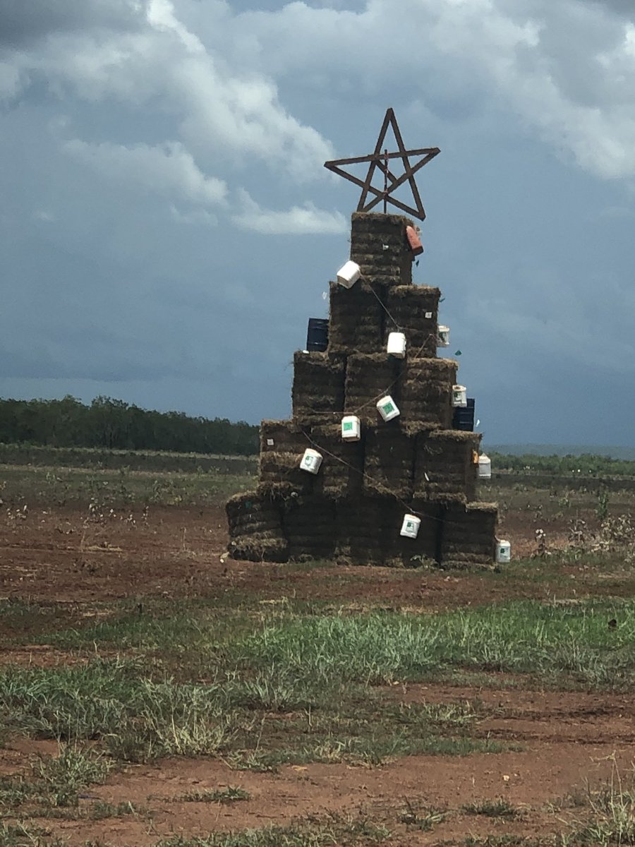 Bruce Vandersee tweet media