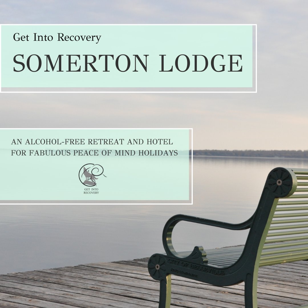 SomertonLodge's tweet photo. If you want to enjoy a safe, sober holiday with healthy food, a super relaxing quiet lounge, a lovely garden, and even sober evening get-togethers, all you have to do is join us at Somerton Lodge Hotel! 💙

We are waiting for you. 

👉 https://t.co/ZfnezLUTqM https://t.co/rc6V7K05mc