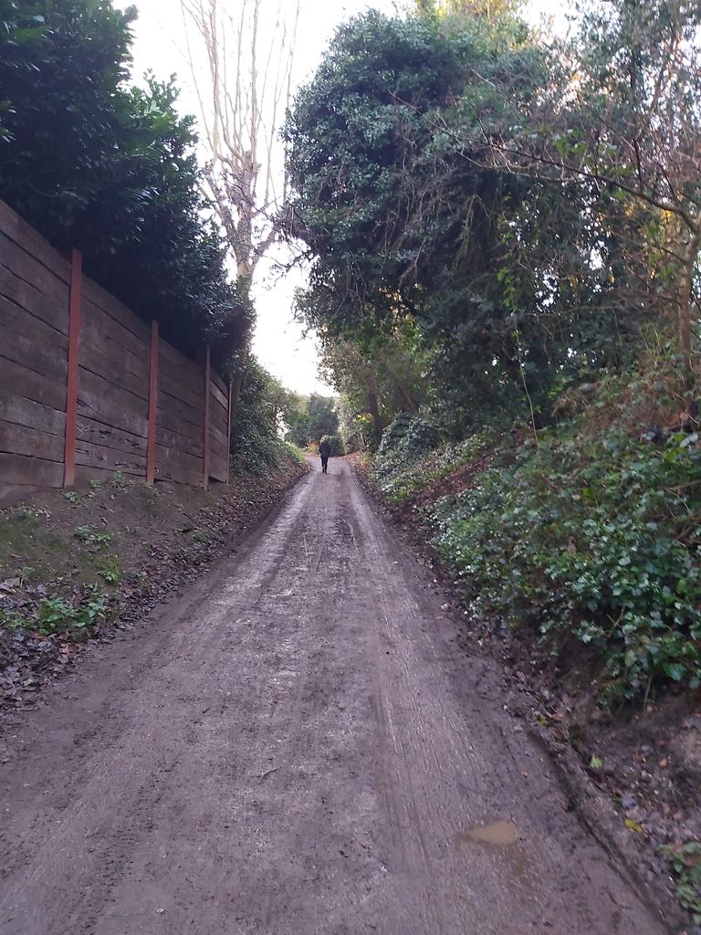 WinifredEboh tweet media