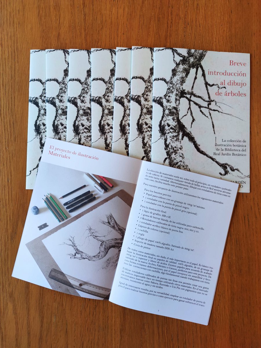 Biblioteca_RJB's tweet photo. Ya puedes pasarte por la Biblioteca @RJBOTANICO y recoger gratuitamente: "Breve introducción al dibujo de #árboles". Conoce nuestra Colección Digital de Ilustración Botánica y da rienda suelta a tu creatividad de la mano de @baldi_perez También en pdf 👇
https://t.co/Wk0bzTKVrO https://t.co/st2WdGCC9Q