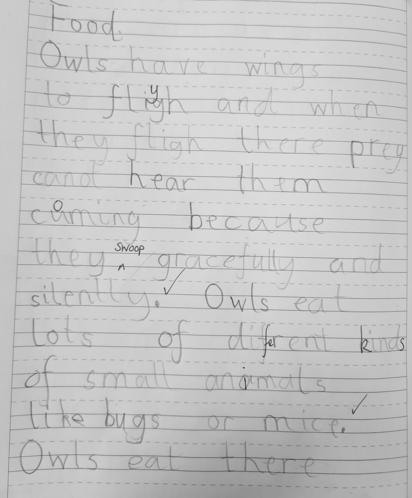 Christletonpri's tweet photo. Fantastic writing about owls today in Year 2. So much amazing information. @TheLCUK #pathwaystowriting https://t.co/x31tMvT8lr