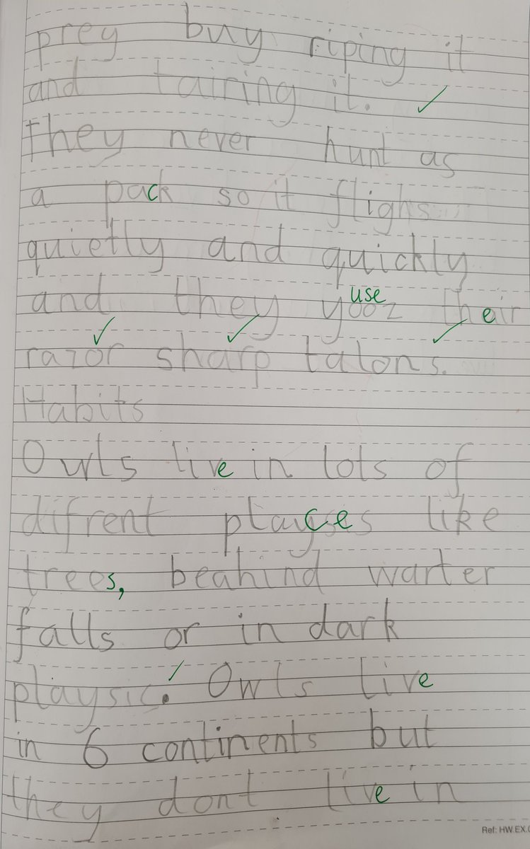 Christletonpri's tweet photo. Fantastic writing about owls today in Year 2. So much amazing information. @TheLCUK #pathwaystowriting https://t.co/x31tMvT8lr