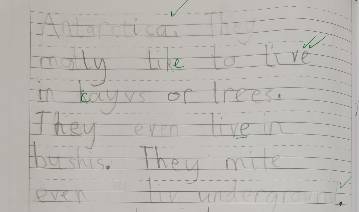 Christletonpri's tweet photo. Fantastic writing about owls today in Year 2. So much amazing information. @TheLCUK #pathwaystowriting https://t.co/x31tMvT8lr