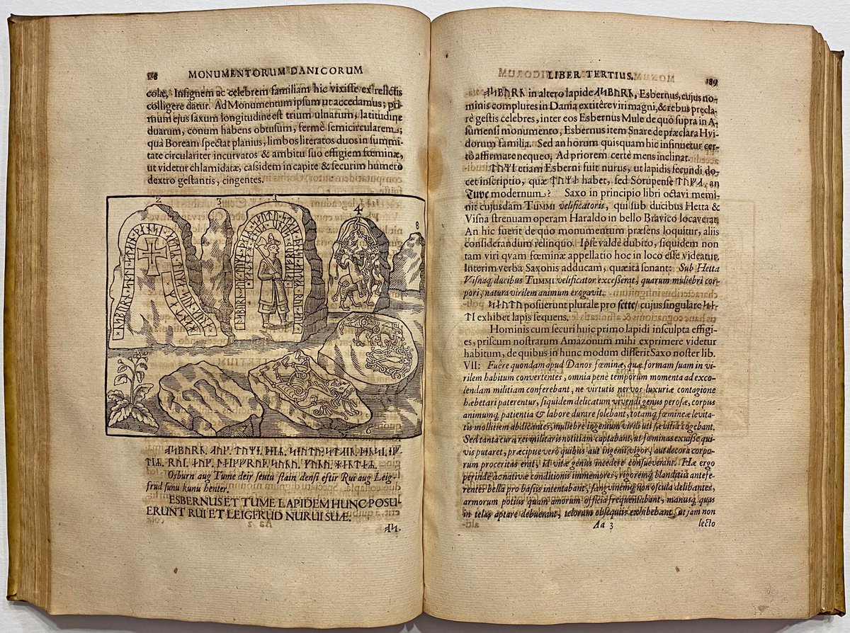 Here's the double page spread showing the Hunnestad runestones from Ole Worm's "Danicorum Monumentorum libri sex", printed in Copenhagen in 1643.Link to the Wikipedia article on the Hunnestad Monument: https://en.wikipedia.org/wiki/Hunnestad_Monument
