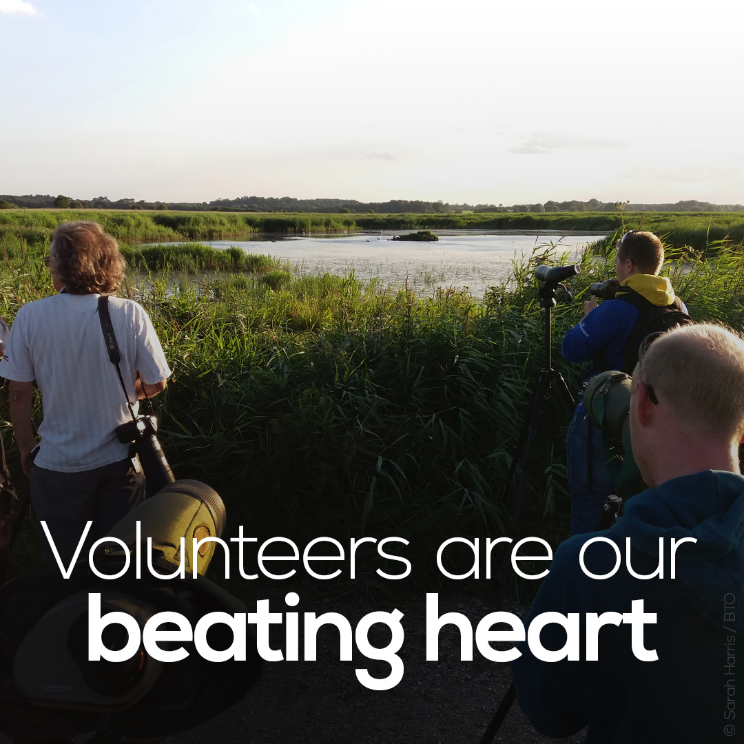 Firstly, we would like to recognise the extraordinary volunteer effort that has gone into  #SUKB. Without dedicated volunteers in every corner of the UK, this publication would not be possible.  @aparanoble reflects on this in the  #BTOBlog:  http://www.bto.org/volunteer-blog&nbsp;