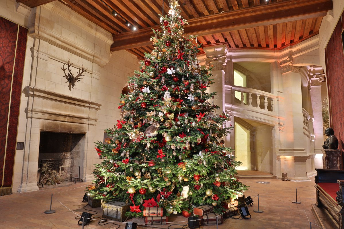 domainechambord's tweet photo. #jeudiphoto 🎄 https://t.co/emKRIGceJc