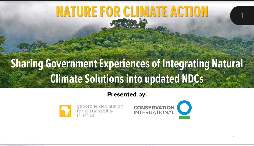 Conservation Intl.-Africa tweet media