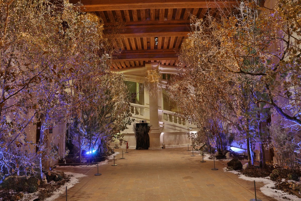 domainechambord's tweet photo. #jeudiphoto 🎄 https://t.co/emKRIGceJc