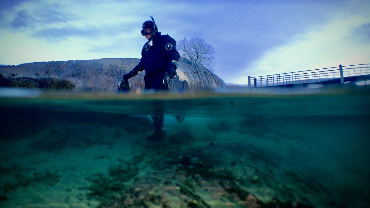 GEANS (@geans_interreg) on Twitter photo Enjoying a sub-Arctic fjord in December - <a href="/Norduniversitet/">Nord universitet</a> sampled two artificial reefs that were deployed 1.5 years ago. The results contribute to the hard substrate case study in GEANS and is part of the ARMS-MBON network. #metabarcoding #NIS Enjoying a sub-Arctic fjord in December - <a href="/Norduniversitet/">Nord universitet</a> sampled two artificial reefs that were deployed 1.5 years ago. The results contribute to the hard substrate case study in GEANS and is part of the ARMS-MBON network. #metabarcoding #NIS
