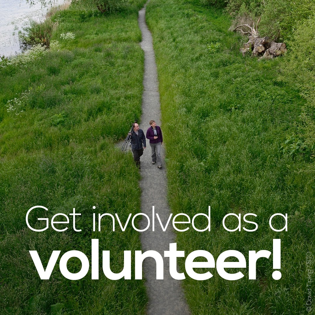 As  #SUKB shows, there is no shortage of ways for you to get involved in helping the UK’s birds. Head over to  http://www.bto.org/how-you-can-help to find out what you can do.