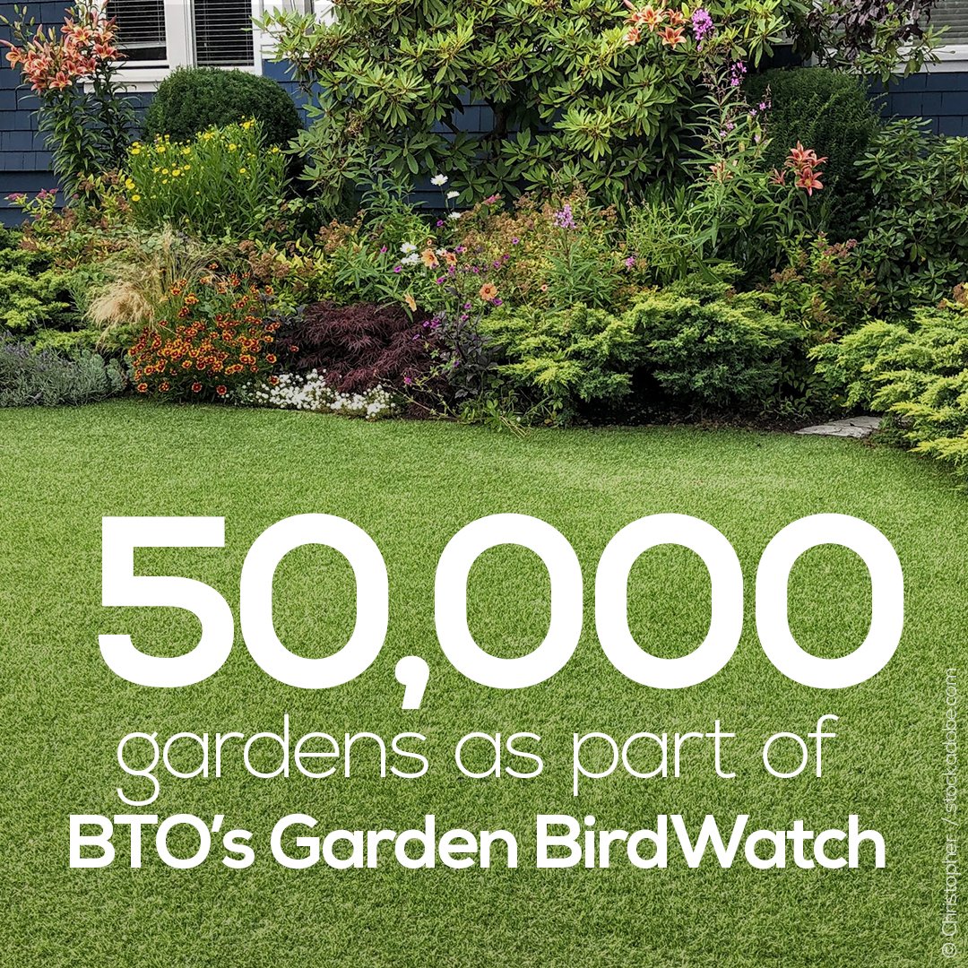 The  #SUKB report also shows the importance of recording our garden birds and wildlife, and draws on the data collected from 50,000 gardens taking part in  @BTO_GBW. If you want to contribute your garden records, you can find out more here -  http://www.bto.org/gbw&nbsp;