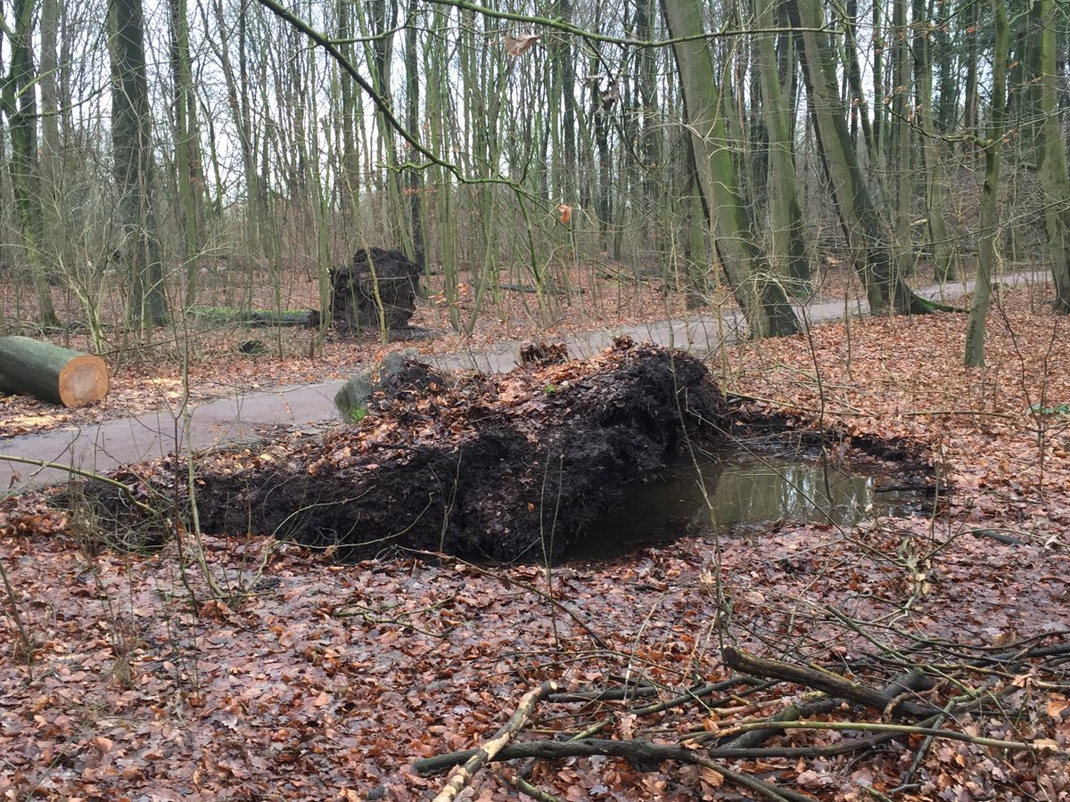 Ronald Loch tweet media