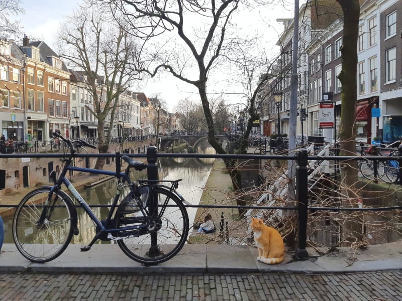 De wijk Binnenstad krijgt een nieuw wijkplatform! Hoe wilt ú betrokken zijn? Daarover gaat de enquête utrecht.onzewijk.nl. Invullen kost hooguit 4 minuten. Alvast bedankt!