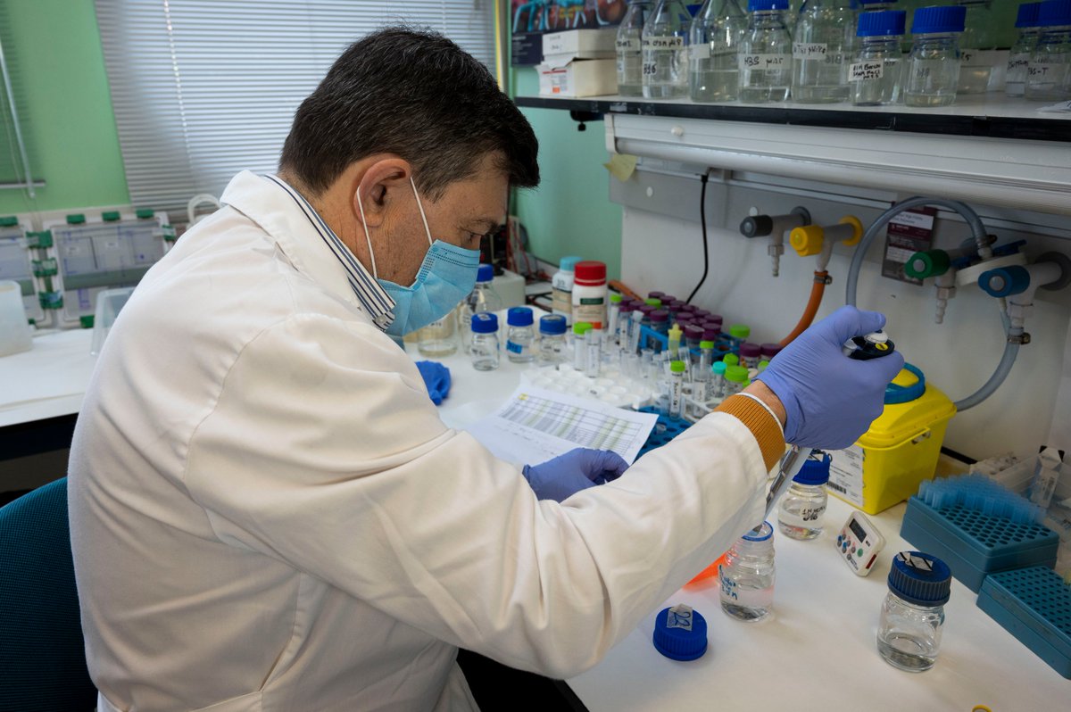 CSIC's tweet photo. “El nuevo test permite identificar tres tipos de anticuerpos, (inmunoglobulinas): la IgM, la IgG, que se produce en un momento avanzado y perdura varias semanas o meses; y la IgA, que aparece cuando el virus está en las mucosas”, señala José Miguel Rodríguez Frade (@CNB_CSIC) https://t.co/L1Jzj94AT8