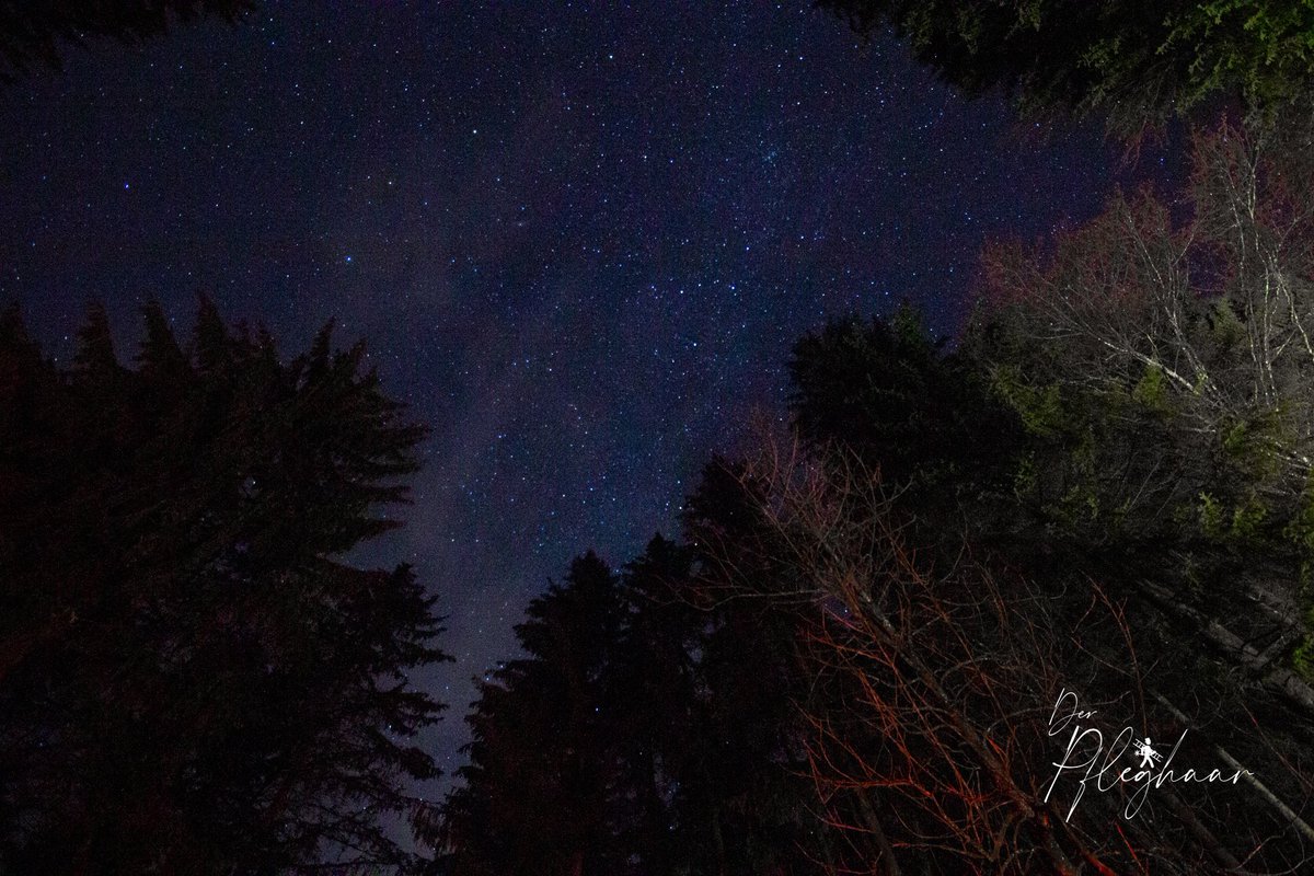 der_pfleghaar's tweet photo. 𝐒𝐭𝐚𝐫𝐫𝐲 𝐬𝐤𝐲
#sternenhimmel #wald #waldbeinacht #naturfotografie #sky #starrysky #starrynight #starrynights #sternennacht #sternenhimmel⭐️ #nachtfotografie #amazingnature #amazingnight #schönenacht #sternenklar #woodbynight #woodinthenight #amazingstarrynights #messkirch https://t.co/7xsUGoCtbC