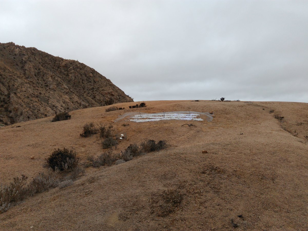 JLembrechts's tweet photo. #The3DLab 2021 countdown #9 - In February, we called for underrepresented regions in the @SoilTemp_proj network. 10 months later, and despite a global pandemic, most sensors made it to the field! 

But the work is far from done - hopefully more in 2021!

https://t.co/rlAy8AuPF8 https://t.co/jZLfZtx1jt