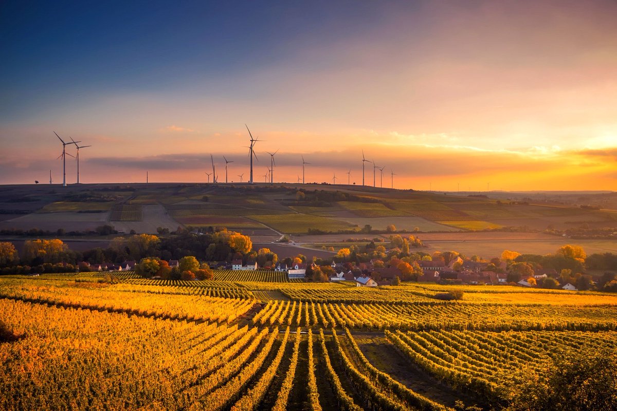 EPCCompanyUK's tweet photo. We believe the future is green, which is why we've launched a new website to promote the ever growing world of eco-friendly jobs.  It's a brand new jobs board so bear with us, but if you are interested in receiving job alerts, please sign up here...
https://t.co/t8uUZHoDGc https://t.co/L9o13QCQ4U